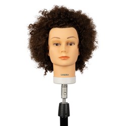 Mannequin Head Sandra Dateline Professional 