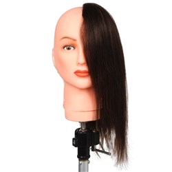 Dateline Professional Clip-On Left Profile