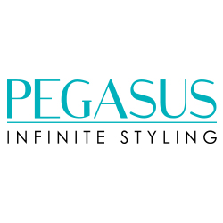 Storming Europe and the USA, <strong>Pegasus</strong> hairdressing <a href="/hair-brushes-and-combs" title="combs" class="redline">combs</a> redefine styling. Combined with revolutionary Flexinite technology, Pegasus is styling at its best. Flexinite Smart Comb Technology creates seamless teeth which are sensitive to changing temperatures, mimicking hair and flexibly moving in response to heat and chemicals. The result? No damage to hair.&nbsp;See other <a href="/brands" title="brands" class="redline">brands</a>&nbsp;we carry.