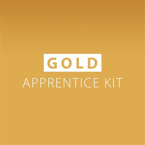 Dateline Professional Hairdressing Apprentice Kit Gold